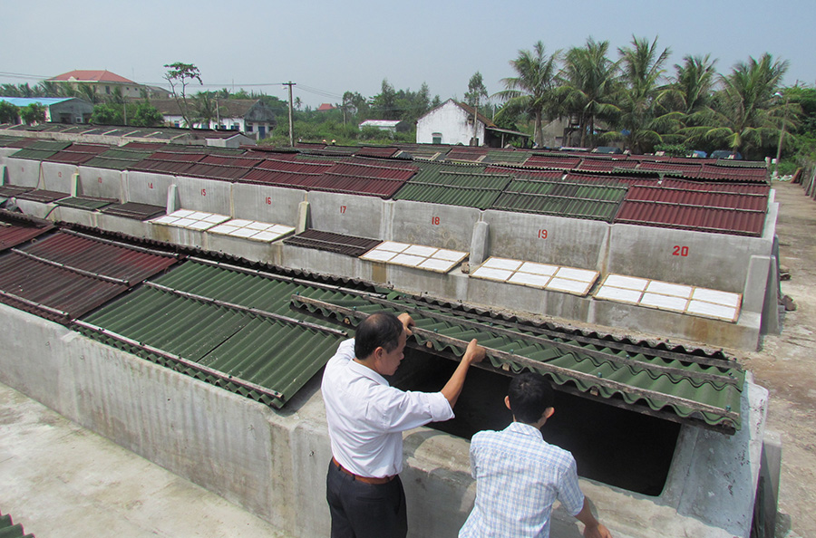 Bể muối cá