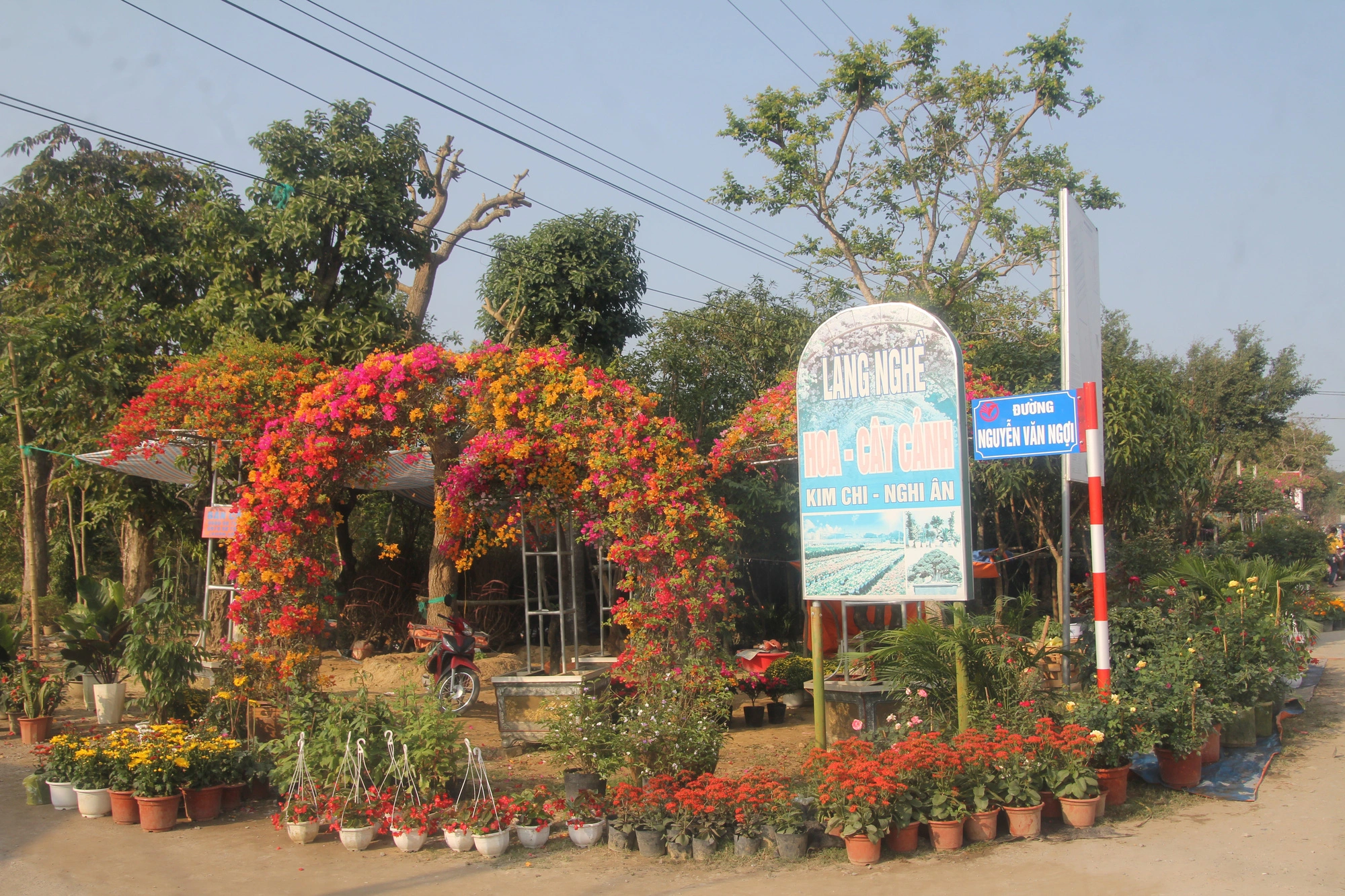 Công ty TNHH Cây Cảnh Nghệ An